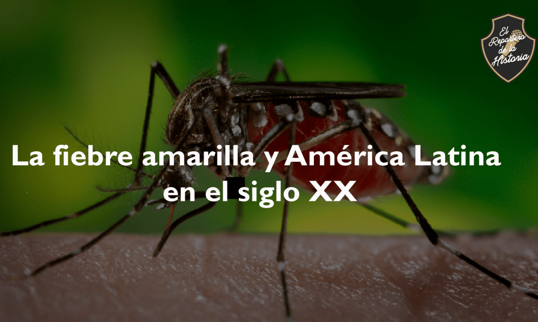 fiebreamarilla